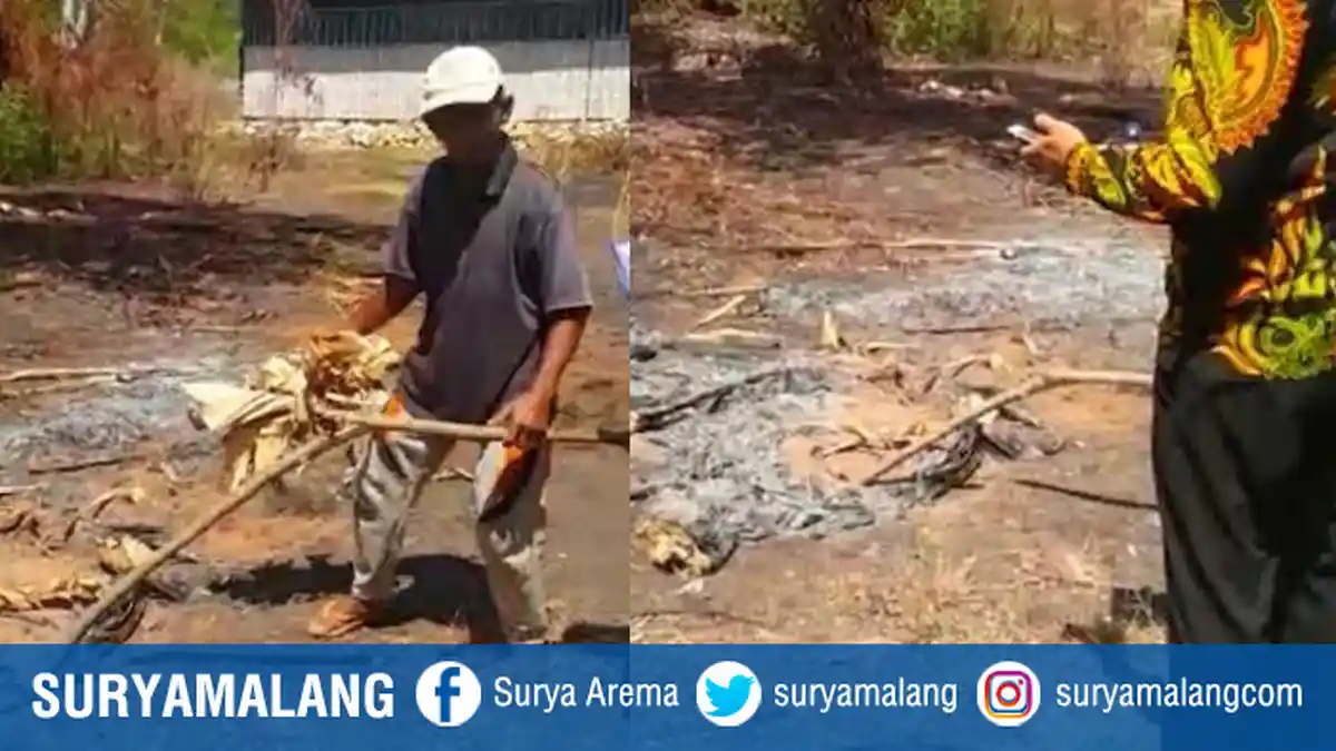 Sumenep Gempar! Ada Api yang Membara di Lahan Belakang Rumah Siti Fatimah