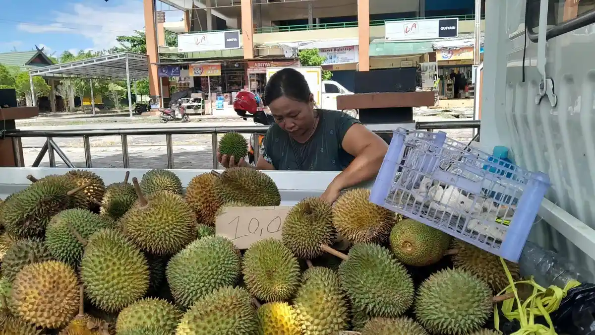 Tutorial Jitu Memilih Durian Matang dan Manis Ala Mama Risa Pedagang Asal Kota Palangkaraya