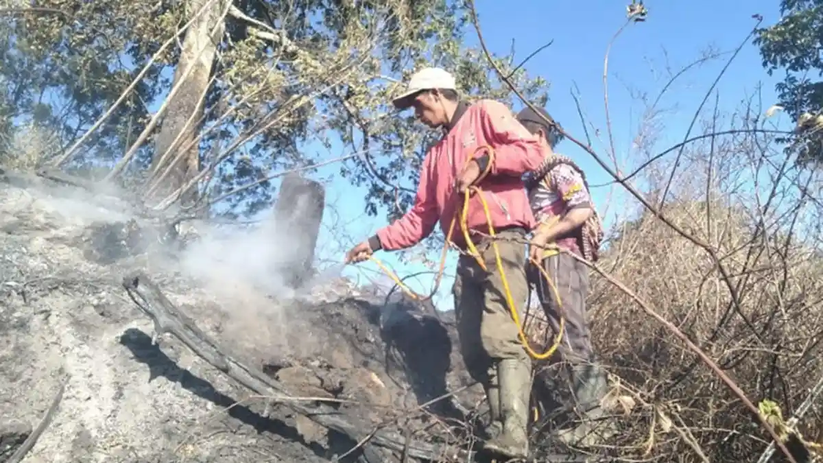 BPBD Jatim Sebut Kebakaran di Gunung Semeru Belum Butuh Penanganan Via Udara, Beda dengan Arjuno