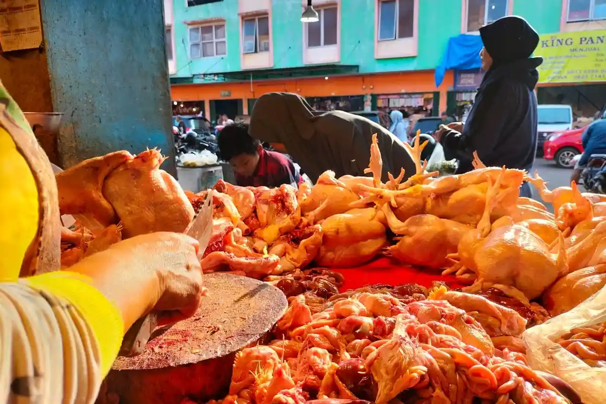 Update Harga Daging Ayam Beberapa Pasar di Kota Jambi Selasa 23 Agustus 2022