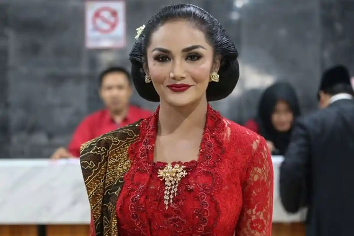 Krisdayanti Beri Klarifikasi di Youtube, MKD DPR Kecewa : Saya Khawatir Itu Ganggu Konsentrasi KD