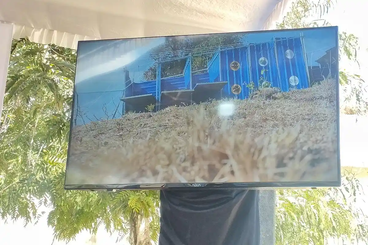 Enam Komodo Dilepasliarkan di CA Wae Wuul Labuan Bajo, Semuanya Jantan