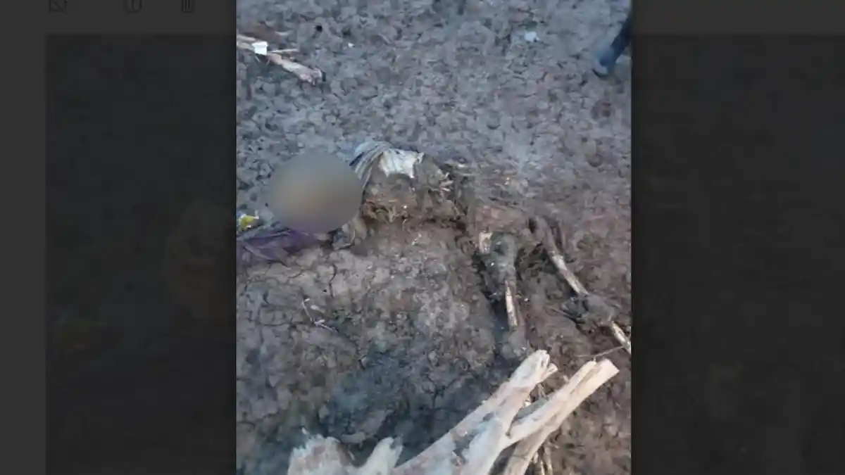 Tengkorak Ditemukan di Pesisir Timur Jambi, Diduga Nelayan Bangka