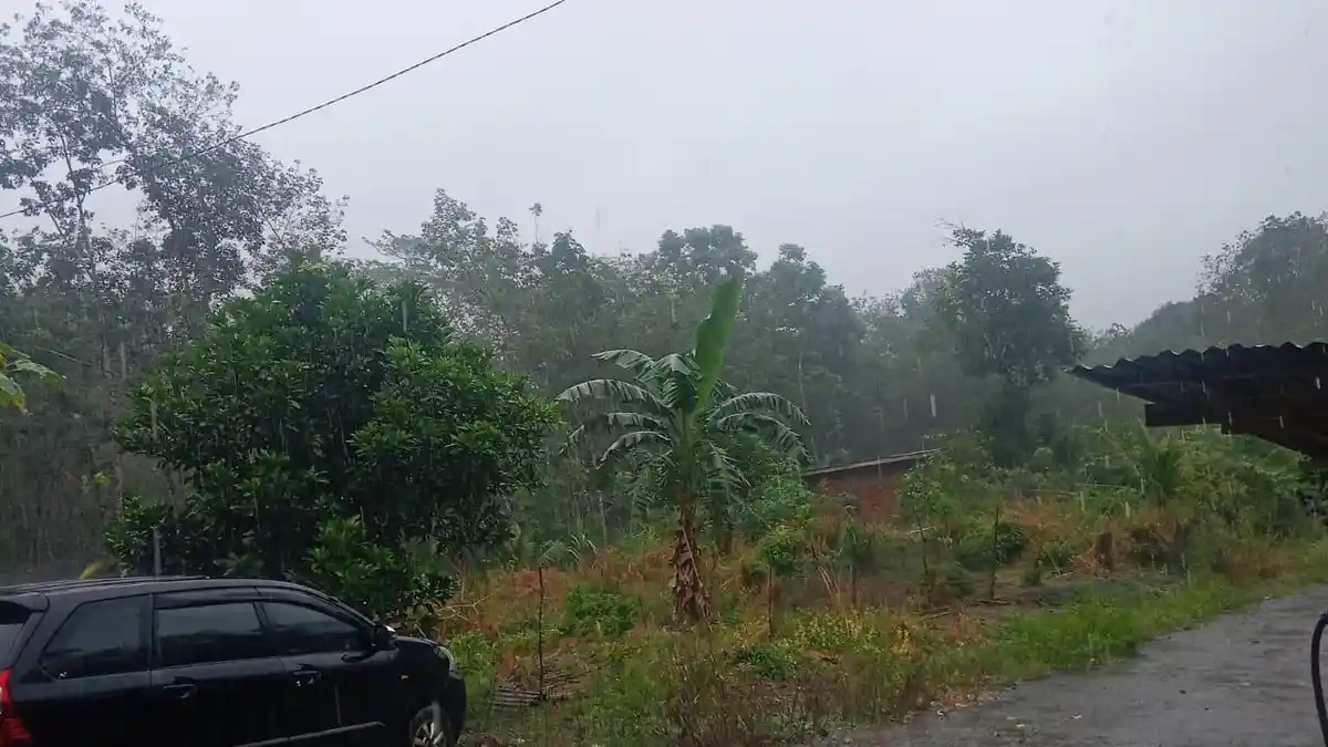 Lima Kecamatan Waspada, Prakiraan Cuaca Seluma Bengkulu Hari Ini 8 Januari 2025