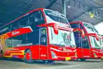 sejarah-dan-profil-Bus-Halmahera.jpg