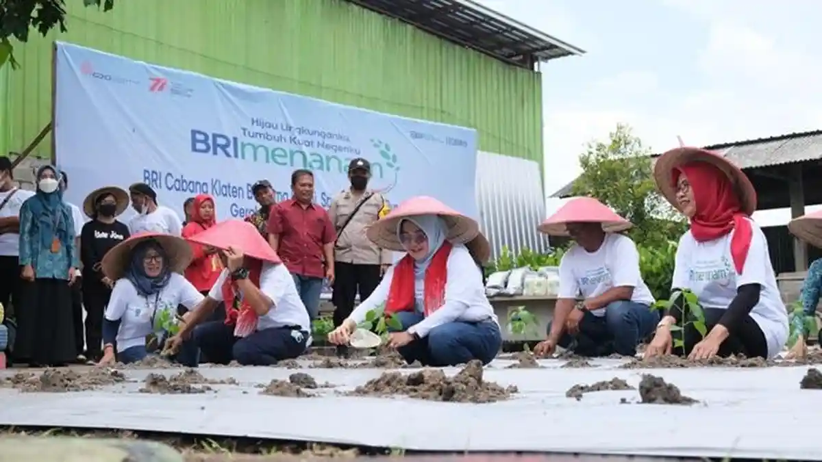 Bupati Klaten Sri Mulyani Canangkan Gerakan Menanam Cabai di Rumah Masing-masing