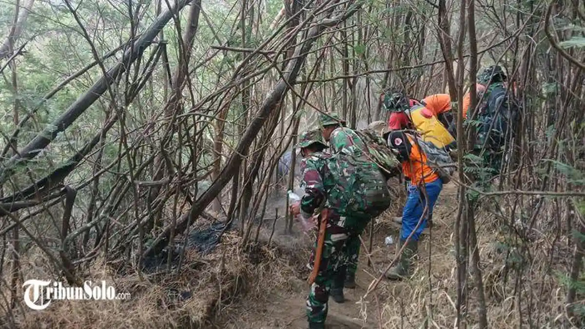 Penyebab Kebakaran Hutan di Gunung Lawu Karanganyar Masih Tanda Tanya, Polisi Diminta Segera beberkan