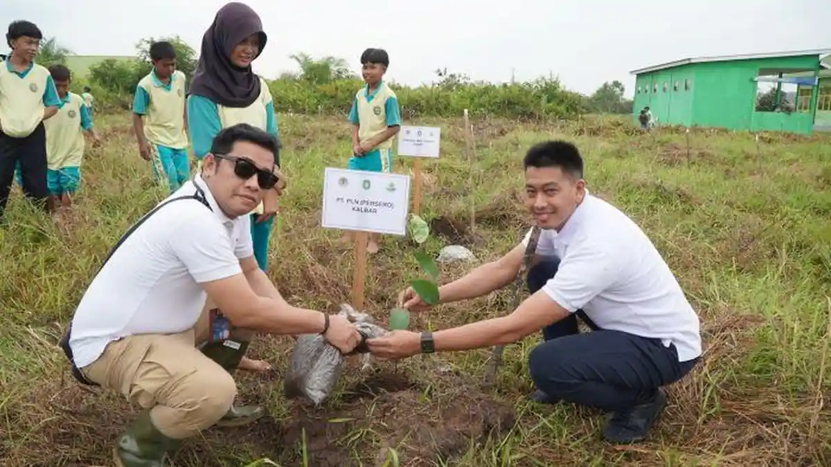 PLN Ikuti Aksi Tanam Pohon Bersama Pemprov Kalbar di Sekolah