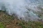karhutla-api-terpantau-membakar-lahan-di-Desa-Sokoi-Kecamatan-Kuala-Kampar.jpg