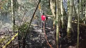 KEBAKARAN-LAHAN-Penampakan-lahaelurahan-sebut-keba.jpg