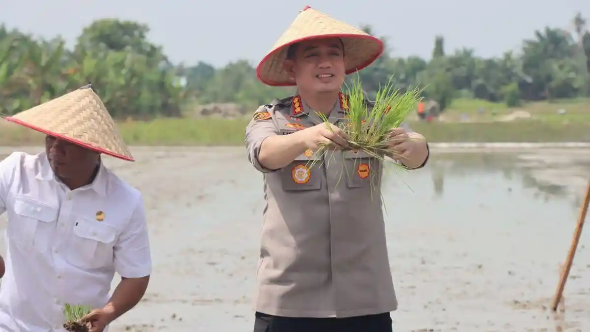 Kapolresta Deliserdang Hadiri Gerakan Tanam Padi Serentak di Desa Pasar Miring