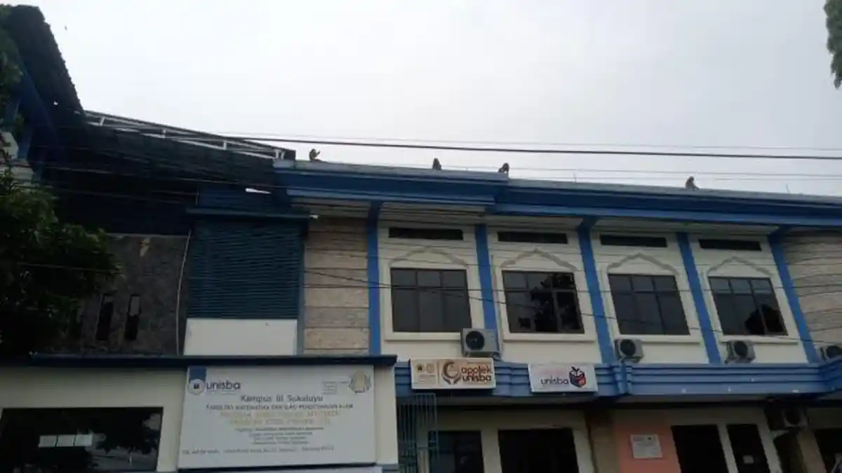 Kawanan Monyet Ekor Panjang Hebohkan Warga Bandung Hadir ke Permukiman dan Berpindah-pindah