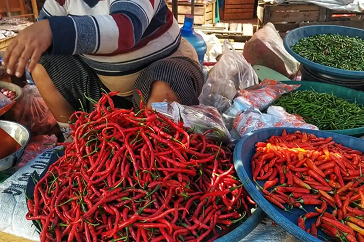 Emak Emak Pijat Jidat Mikir Uang Belanja, Harga Cabai Merah di Dumai Luar Biasa Pedas