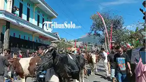Tradisi-unik-bakdan-sapi.jpg