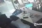 Remaja Pelaku Aksi Mesum di Outlet Dimsum Solo Minta Maaf ke Pemilik : Tak Tulus, Karena Takut Viral