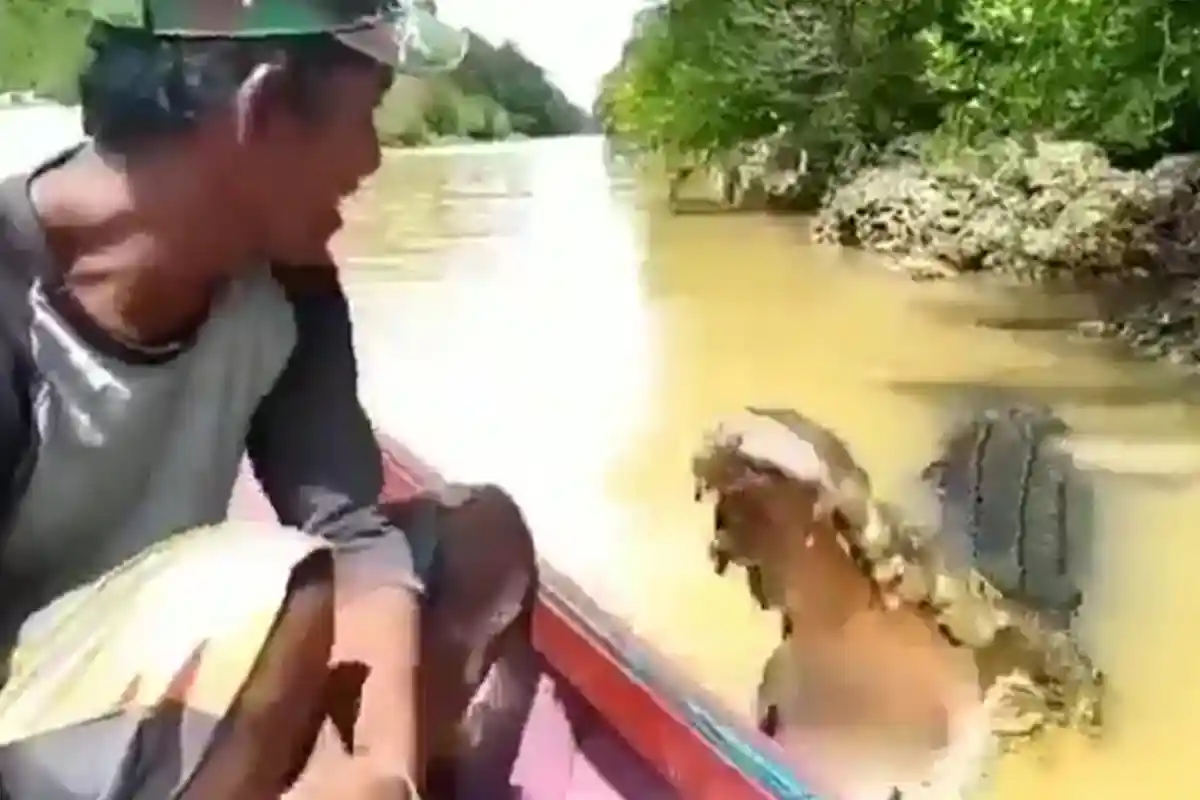 Pemuda Hilang setelah Disambar dan Diseret Buaya saat Cuci Kaki