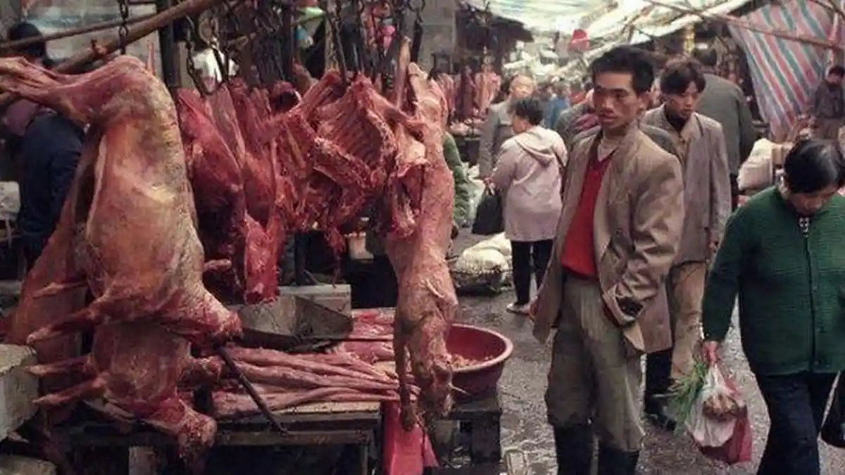 Temuan WHO tentang Covid-19 di China Picu Kemarahan, Cuma 1 Jam di Pasar Basah Wuhan