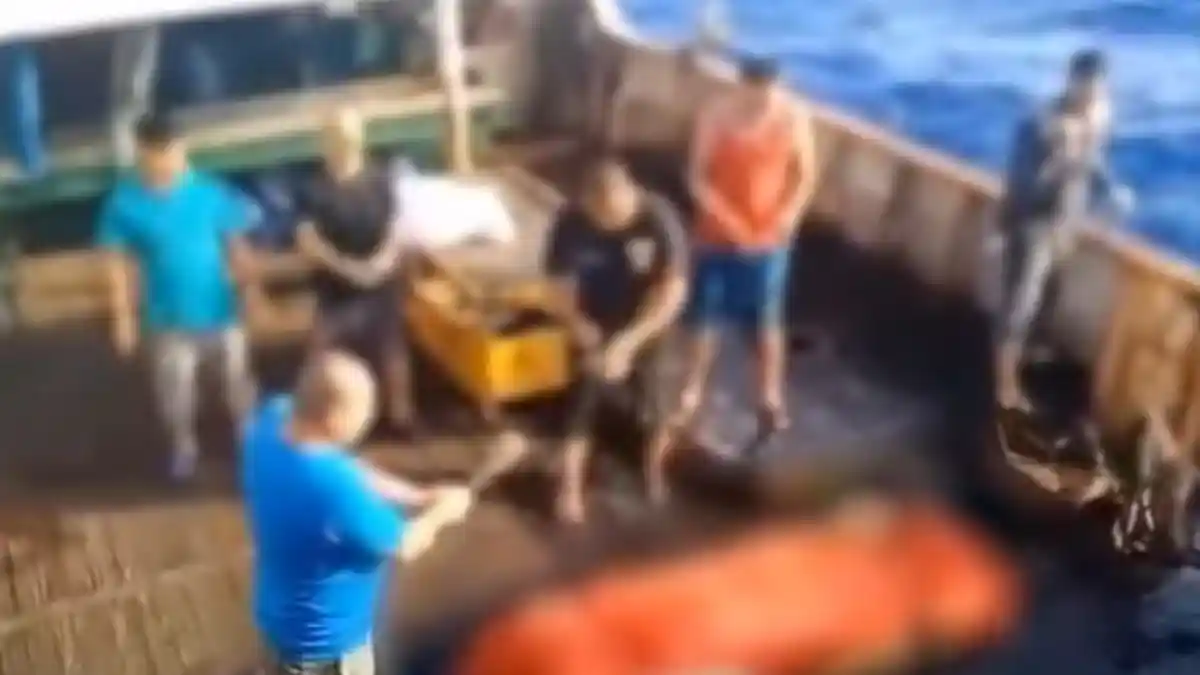 14 ABK Kapal China Diperiksa Polri, Berikutnya Giliran Syahbandar Terkait Dugaan Perdagangan Orang