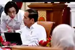 Presiden-Jokowi-ngaku-cawe-cawe.jpg