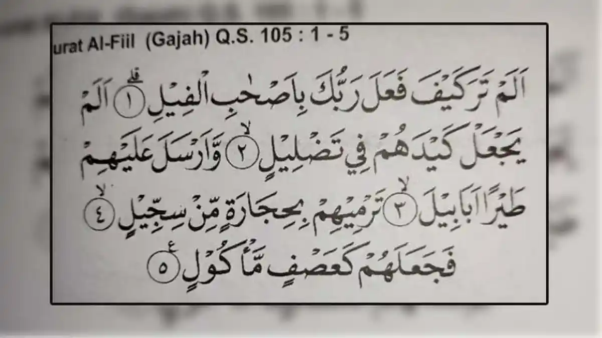 Amalkan Surah Al Fil, Ini Keutamaannya, Lengkap Bacaan