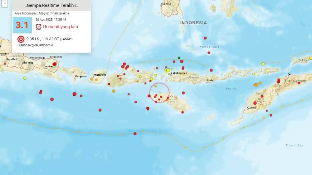 Gempa Magnitudo 3,1 Guncang Wilayah Sumba, Kedalaman 46 Km: Catatan Aktivitas Seismik di NTT