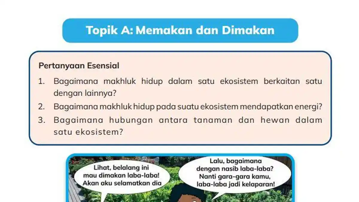Kunci Jawaban IPAS Kurikulum Merdeka Kelas 5 Halaman 42: Memakan dan Dimakan