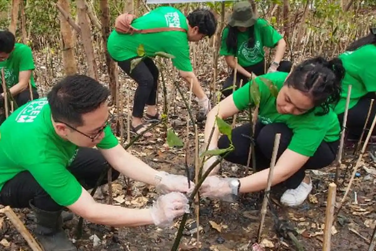 Dukung Konservasi dan Pelestarian Lingkungan, PT SPIL Tanam 1000 Bibit Mangrove