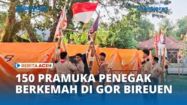 Tribun