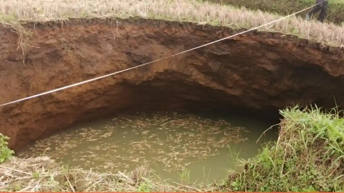 Fenomena Sinkhole Muncul di Sawah Lima Puluh Kota Sumbar