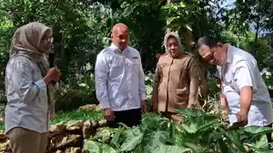 Kebun-Raya-Bogor-KRB-merayakan-usia-ke-209-tahun-pada-Senin-1852026.jpg