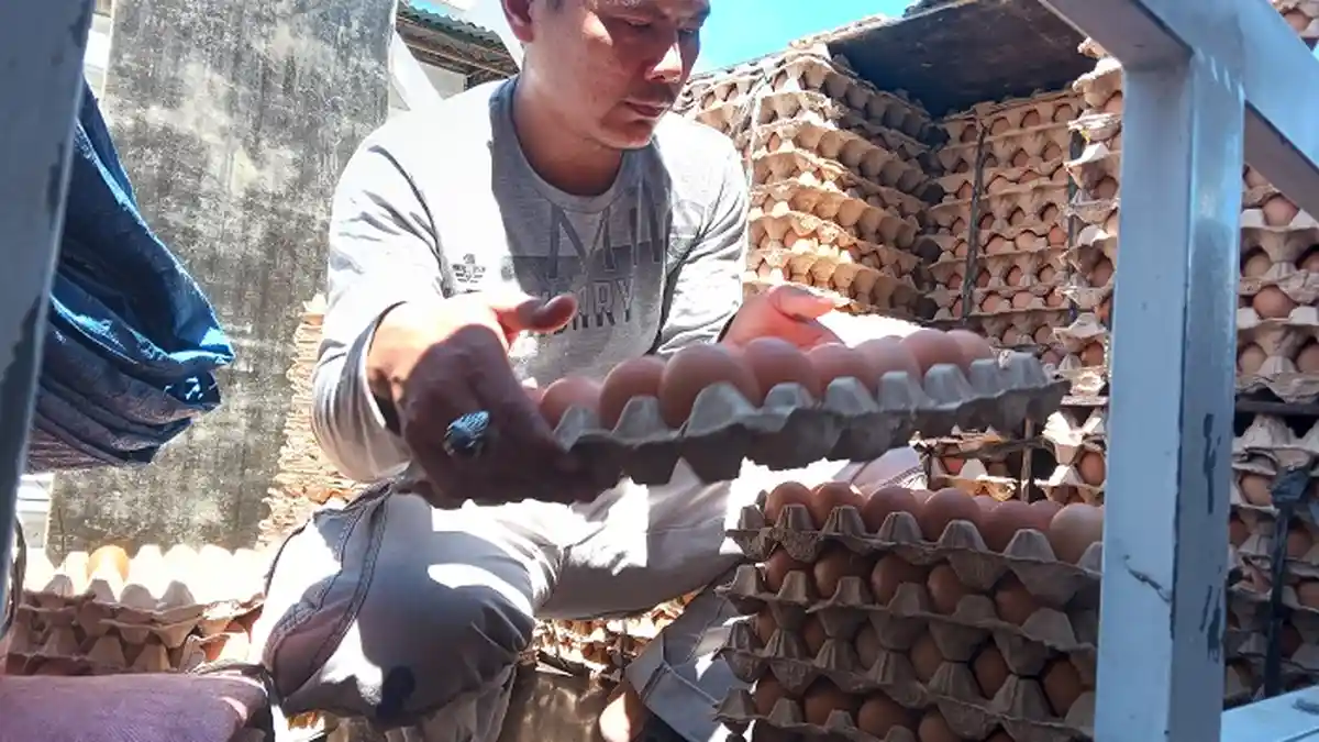 Harga Telur Naik di Nagan Raya, Harga Beras Juga Ikutan Merangkak Naik, Pembeli Berkurang