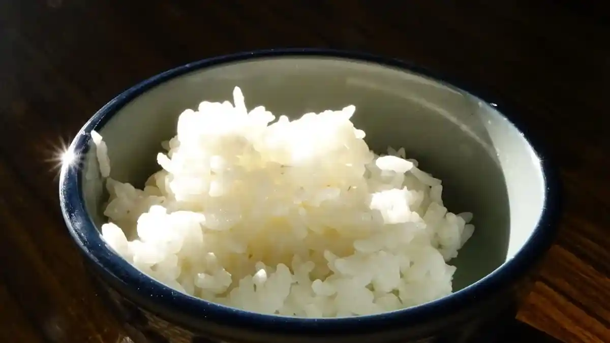 Rendah Karbohidrat, 4 Makanan Ini Dapat Menggantikan Nasi, Cocok untuk Diet