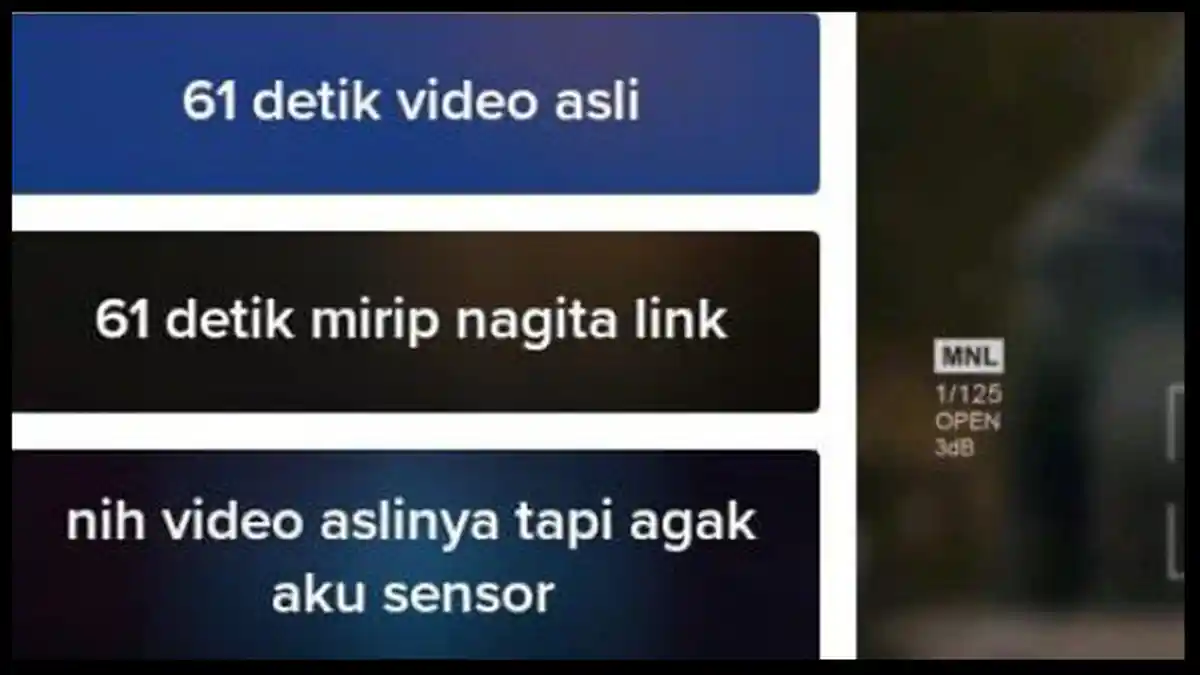Sosok yang Disebut Nagita Dalam Video 61 Detik hingga Viral di Twitter dan TikTok