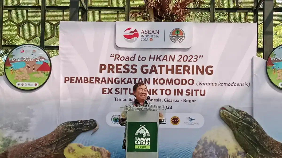 Enam Komodo dari Taman Safari Bogor Akan Dilepas Liarkan ke NTT Malam Ini