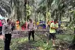 Mayat-Pria-di-Kebun-Sawit.jpg