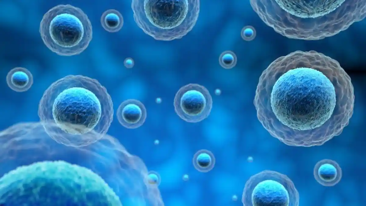 Materi Belajar Biologi : Teori Sel dan Ciri-ciri Sel