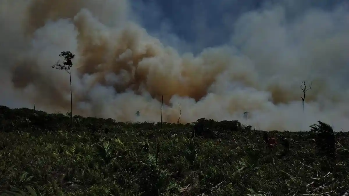 Taman Nasional Berbak Sembilang Terbakar, Satgas Kirim Helikopter untuk Water Bombing