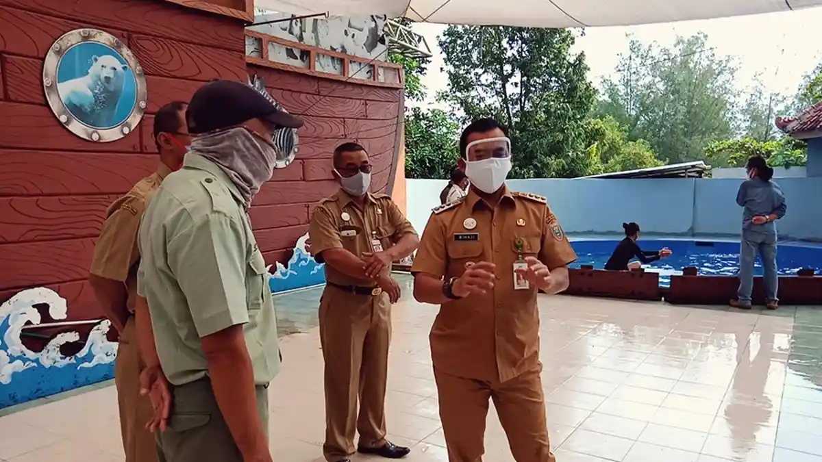 Pekan Depan, Objek Wisata Kabupaten Batang Dibuka Kembali, Contohnya Batang Dolphin Center
