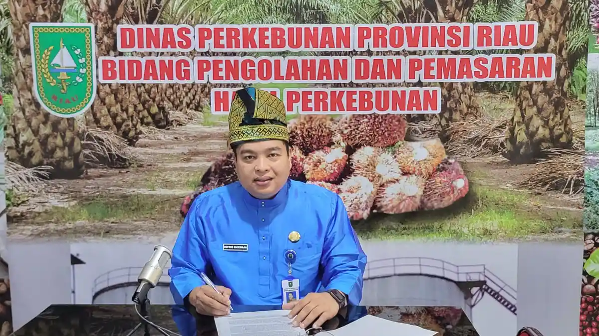 Faktor Eksternal Kenaikan Harga TBS di Riau Pekan Ini Periode 10-16 Agustus 2022