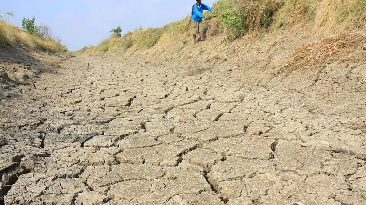 Mulai Mei Jateng Masuk Musim Kemarau, Berikut Imbauan BMKG