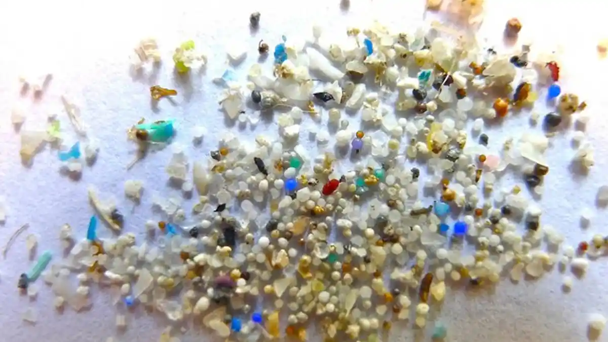 Apa Itu Mikroplastik? Ini Dampaknya Pada Lingkungan dan Kesehatan