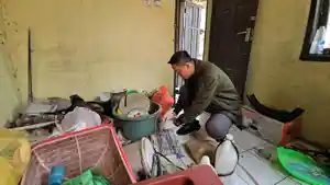Jebak-tikus-1.jpg