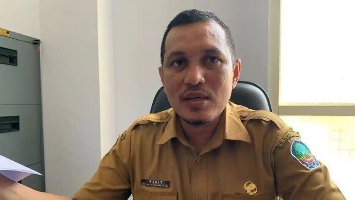Seleksi Kompetensi PPPK Halmahera Selatan Dihelat 26 November: Peserta 1.617 Orang