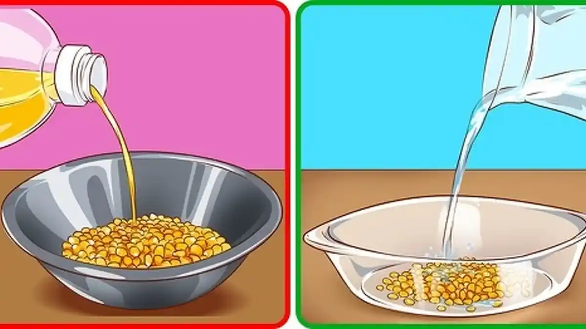 Cara Membuat Popcorn Sehat yang Dapat Membantu Meningkatkan Daya Ingat dan Anti Depresi