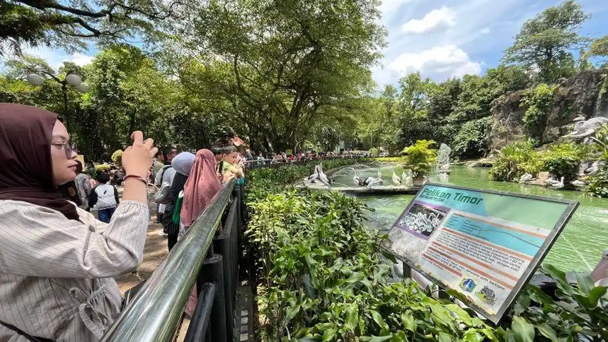 80 Ribu Wisatawan Serbu Ragunan H+2 Lebaran 2026, Intip Serunya Feeding Time Satwa Ikonik