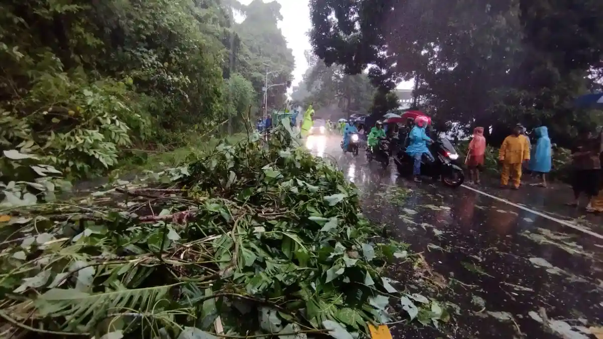 Hujan Lebat Guyur Kota Ambon, 715 Rumah Tergenang Banjir, Ada yang Setinggi Dada Orang Dewasa