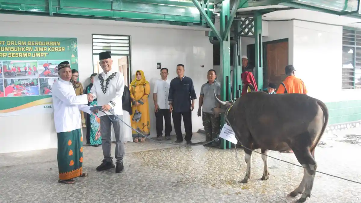 Serahkan 1 Ekor Sapi di Waena, Danrem 172/PWY Ajak Prajurit Peduli Sesama dengan Berkurban