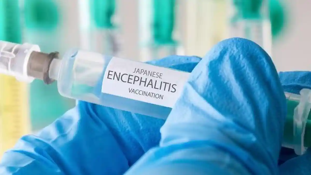 Dinkes Sambas Ungkap Gejala Virus Japanese Enchephalitis, Imbau Warga Waspada