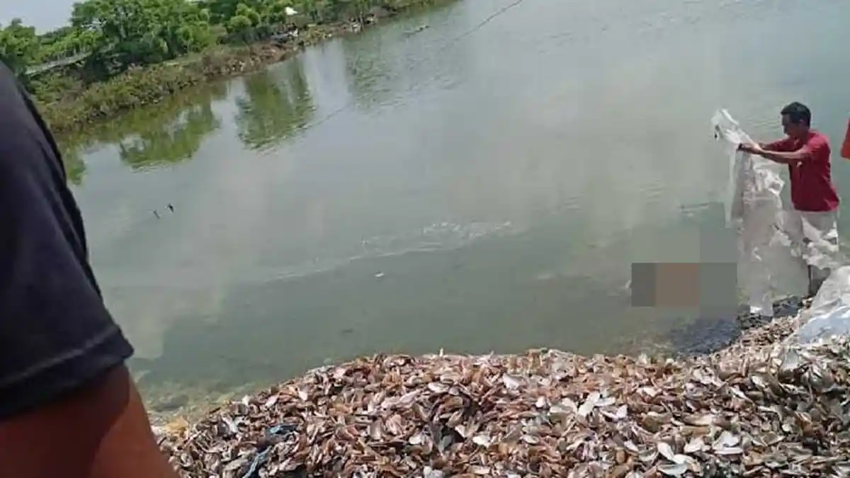 Panjat Tower, Petugas Telkom di Gresik Lihat Bocah Tewas Mengapung di Tambak, Langsung Teriak