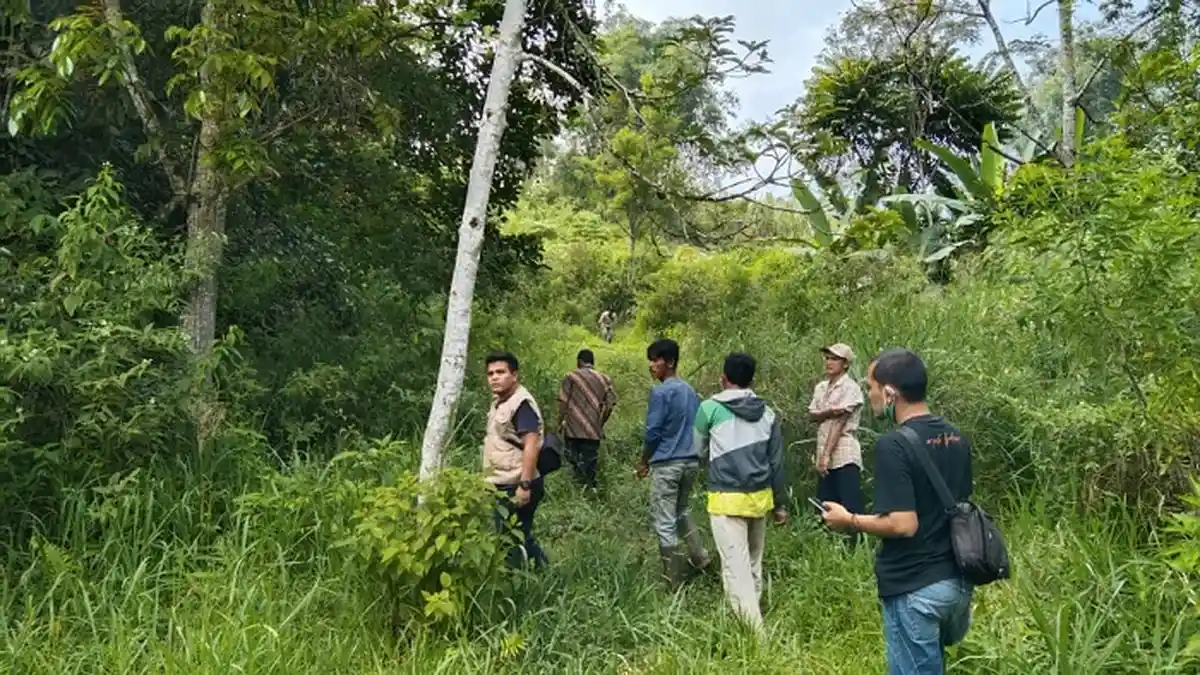 Update Beruang Madu di Agam, Resor KSDA : Aktifitas Satwa Itu, tidak Terpantau Kamera Jebak